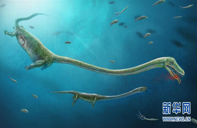 2.45亿年前的“海洋霸主”恐头龙应是胎生